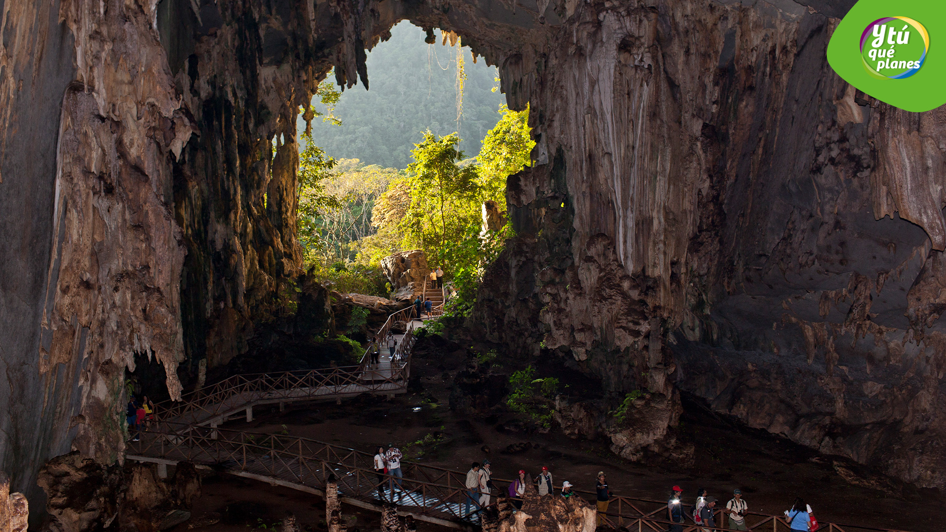 Cueva de las lechuzas en el Parque Nacional Tingo María.